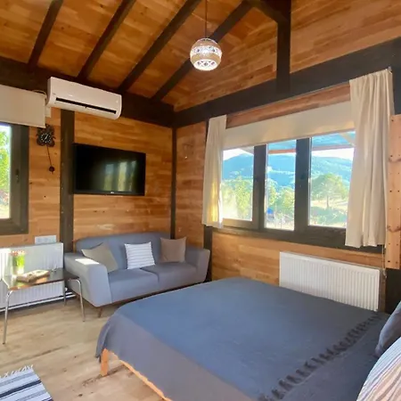 Karmi Apart House *